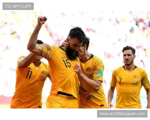 下届世界杯名额分配的最新规则解析与未来趋势展望 下届世界杯名额分配的最新规则解析与未来趋势展望