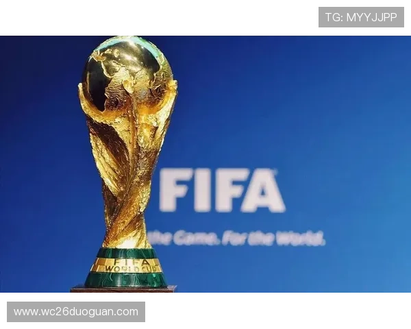 世界杯附加赛名额变化对各参赛队伍的影响及未来晋级策略探讨