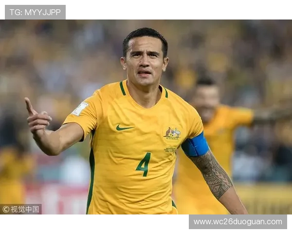 掌握世界杯南美洲区预选赛规则：比赛流程、积分计算与晋级条件的权威指南