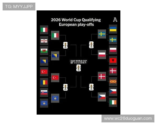 欧洲区预选赛世界杯小组积分榜最新排名情况分析助你了解各队晋级形势及未来比赛走势